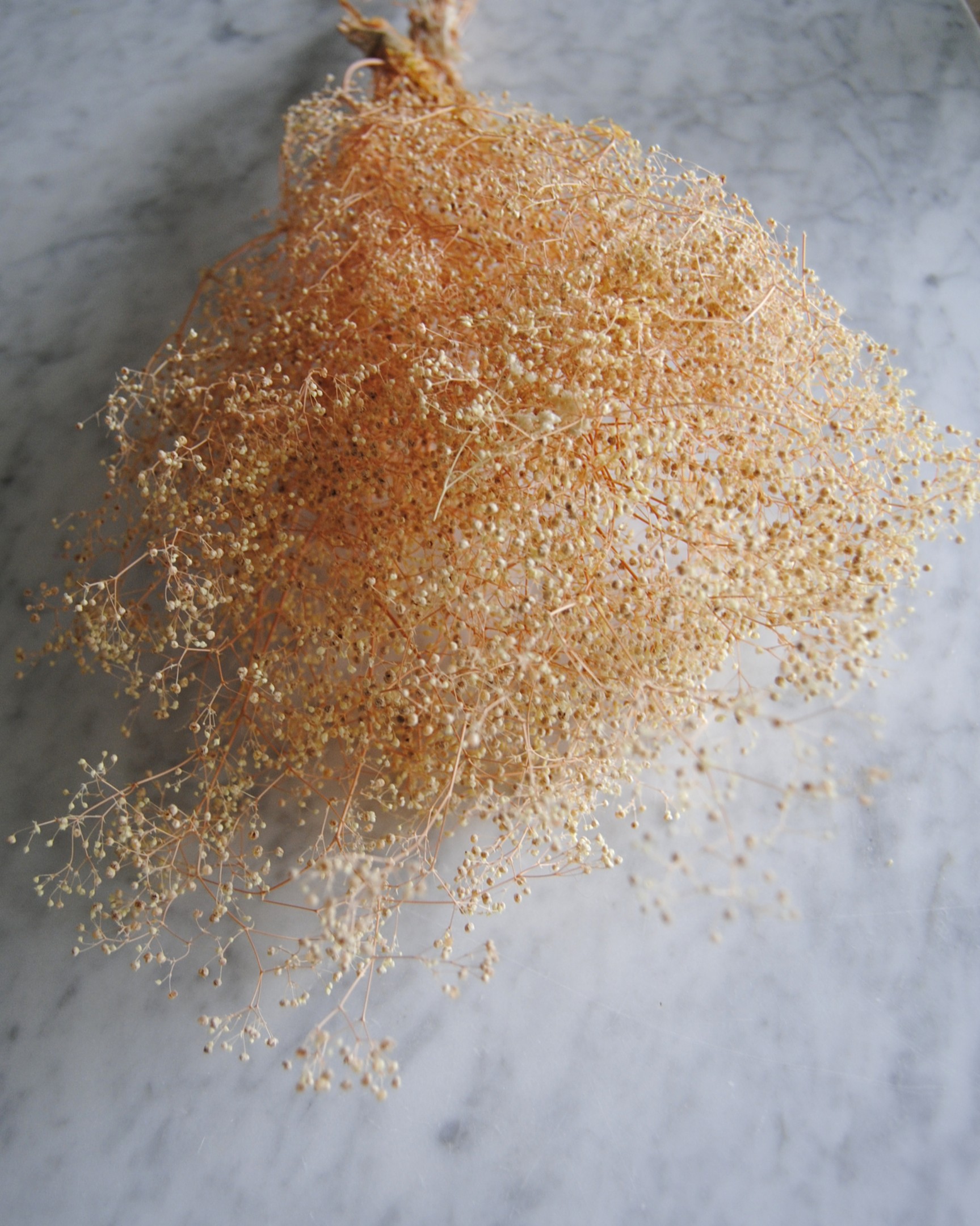 Gypsophila mini roze