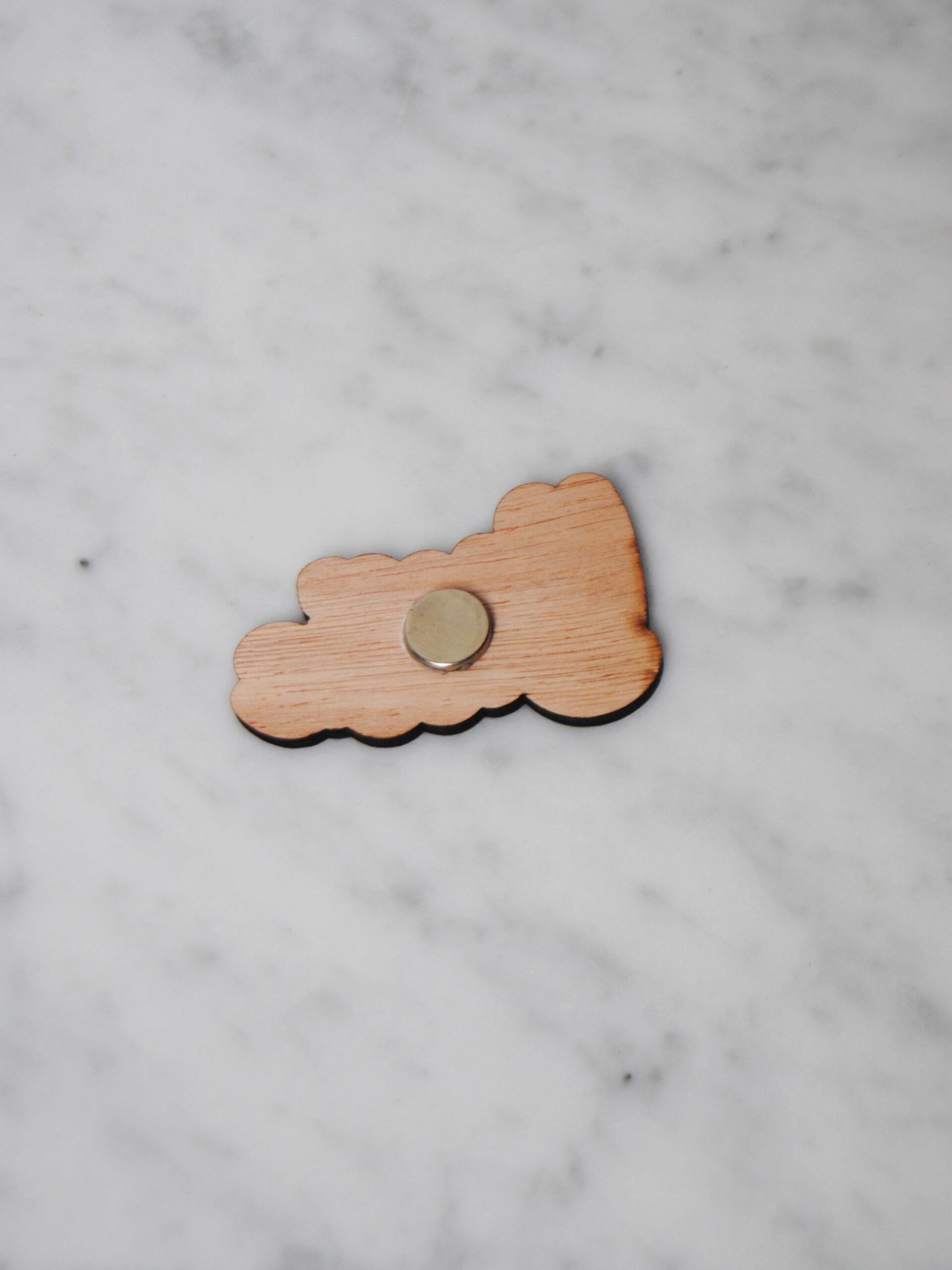 Magneetje naambubbel - hout