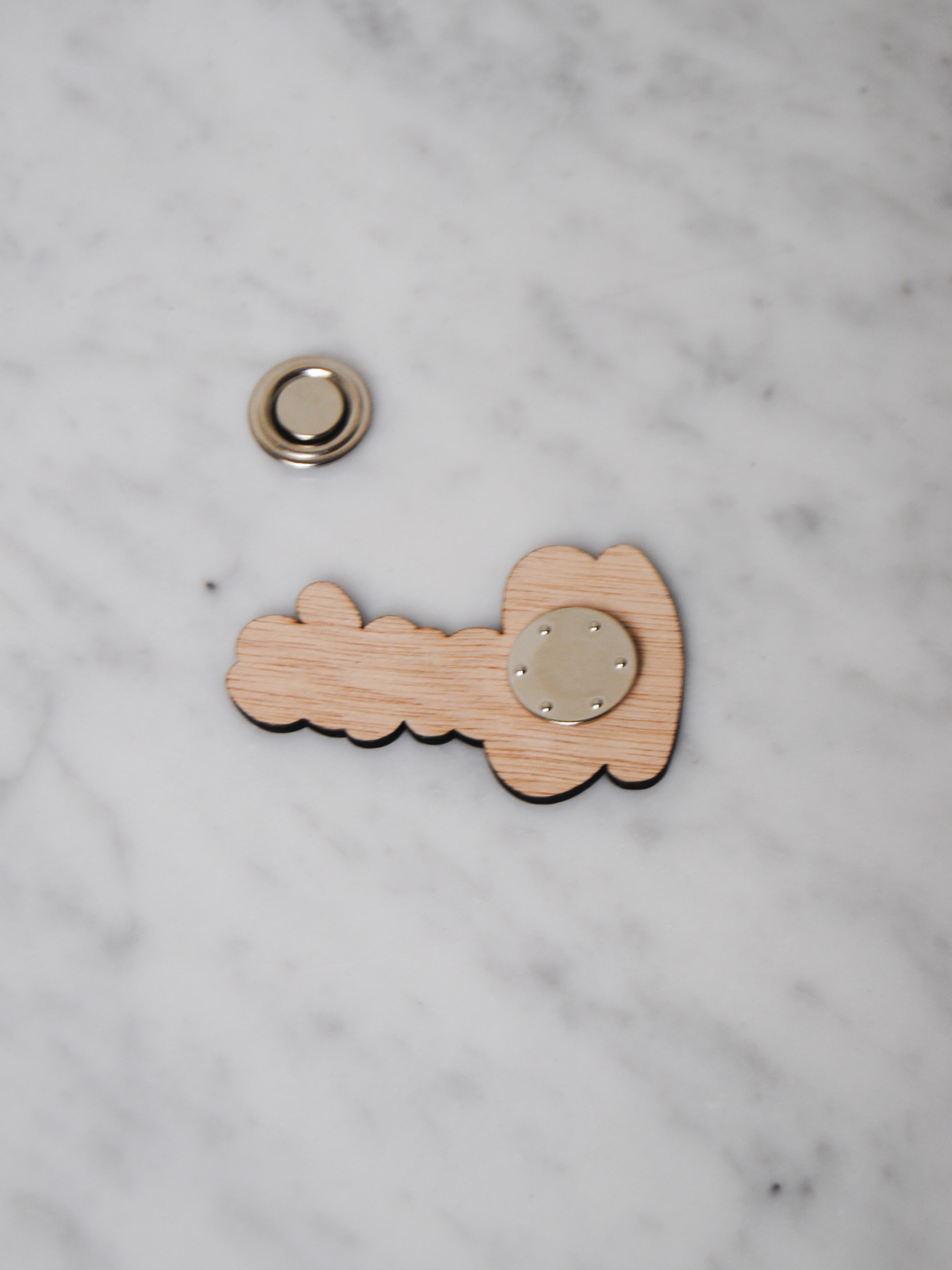 Magnetische broche naambubbel - hout